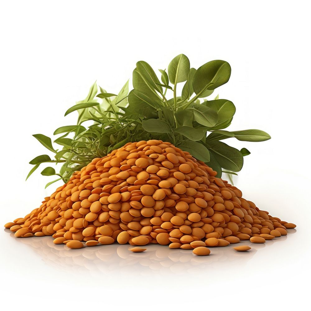 Vegetable lentil plant food.