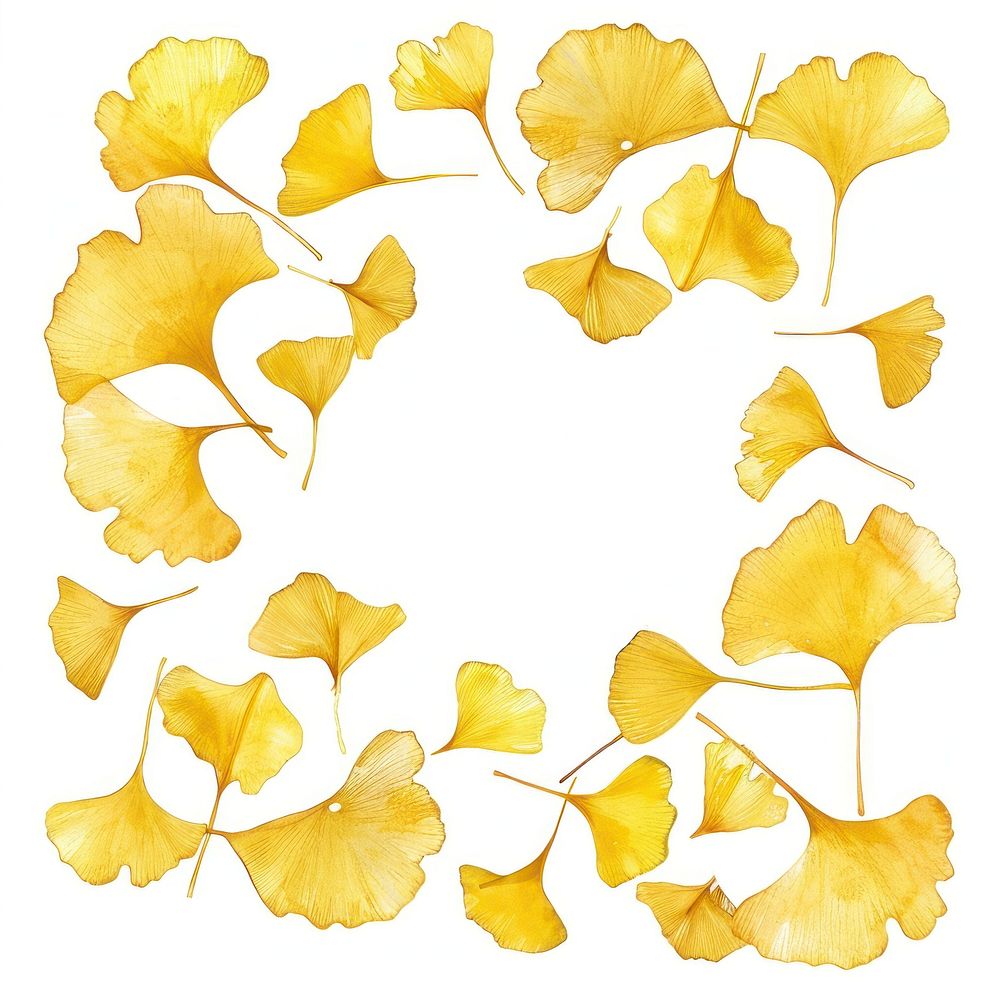 Yellow ginkgo border watercolor backgrounds plant leaf.