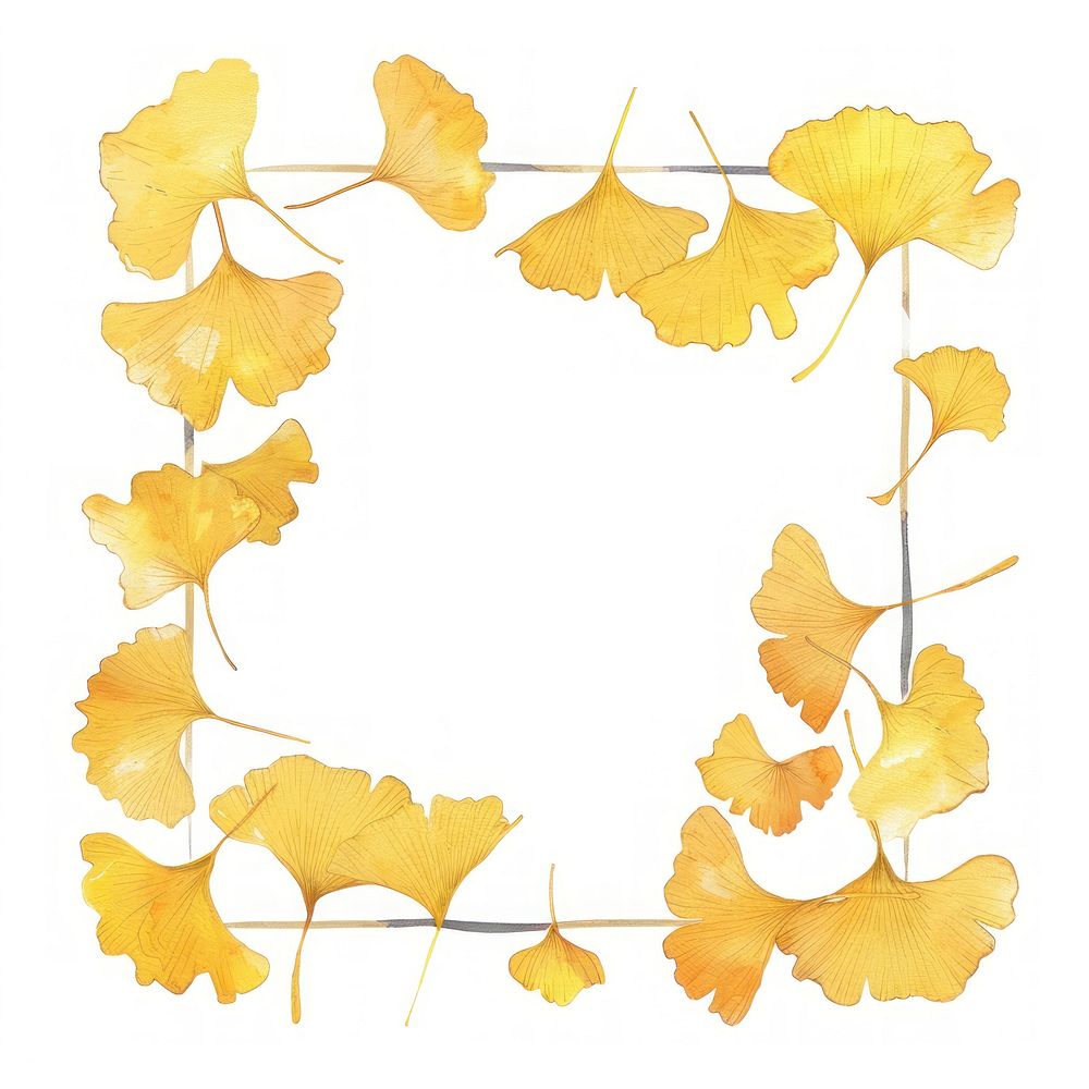 Yellow ginkgo border watercolor plant leaf white background.