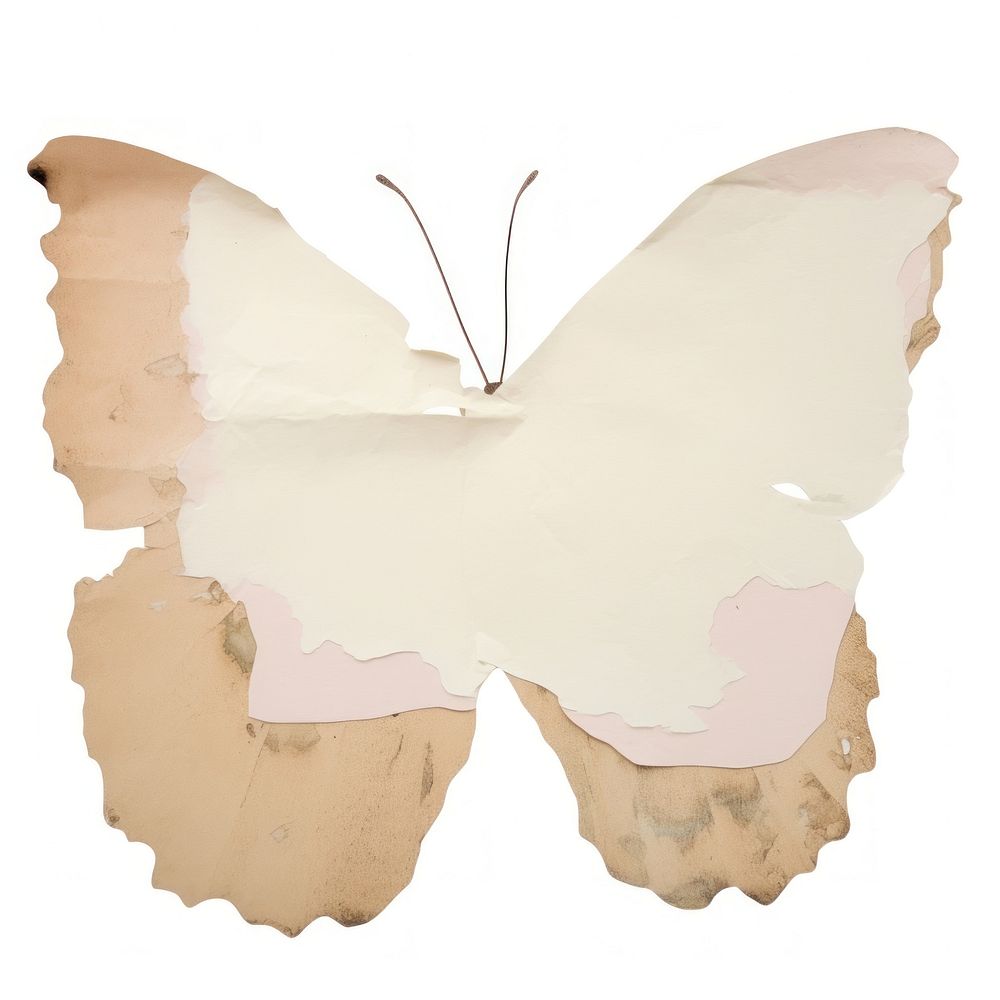 Butterfly animal paper white.