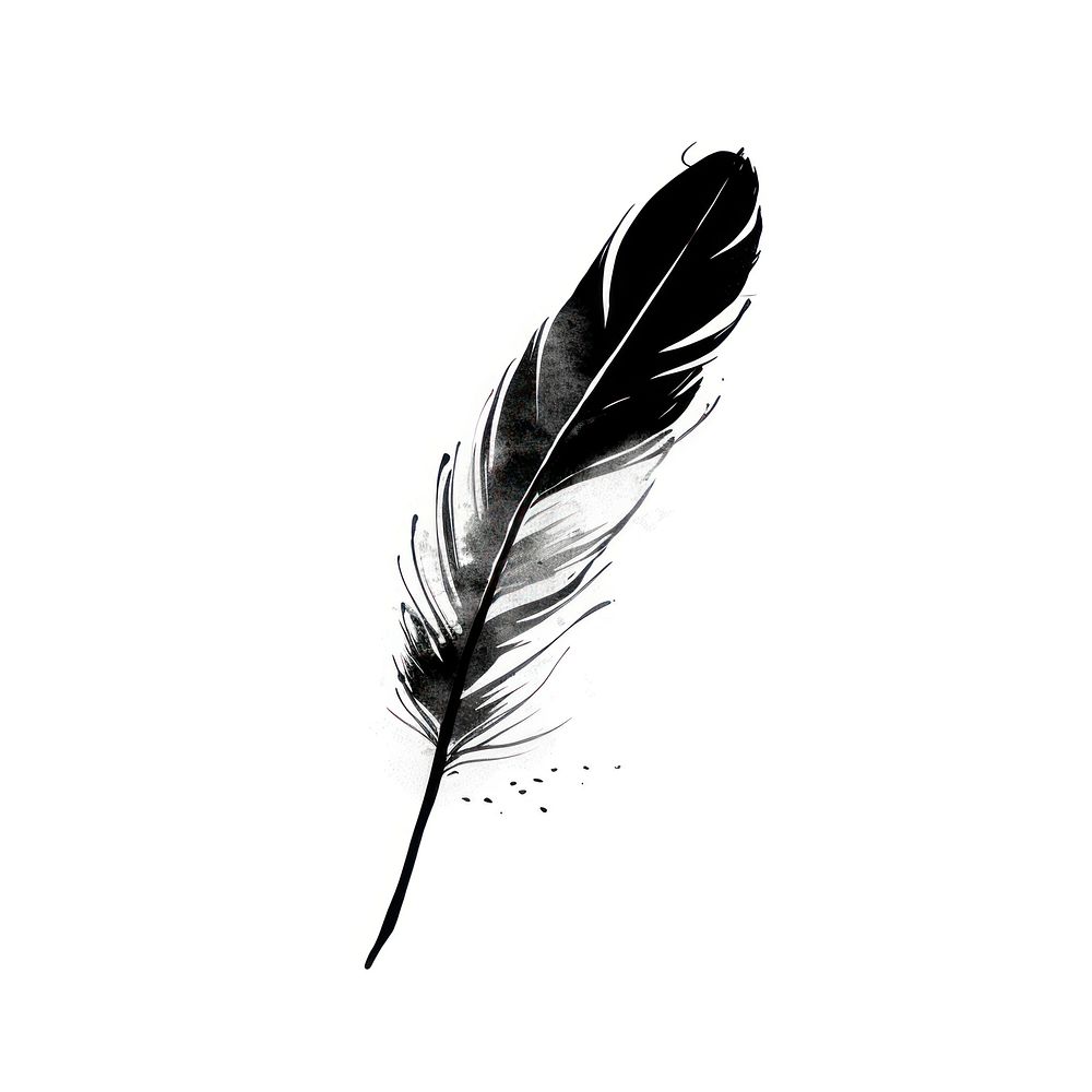 Silhouette Feather feather drawing sketch.