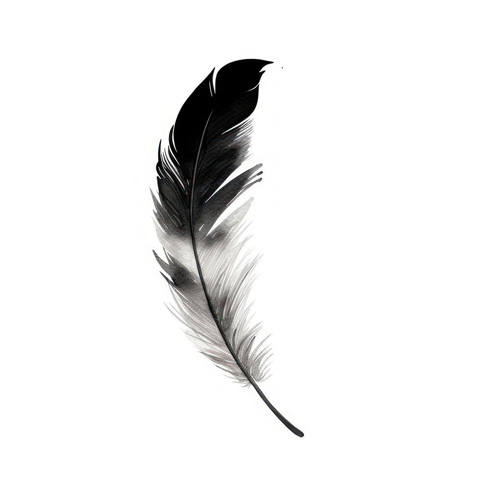 Silhouette Feather silhouette feather white.