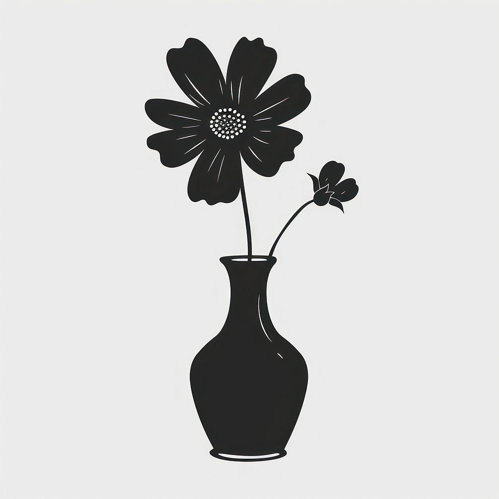 A vase with cosmos flower silhouette asteraceae dynamite.