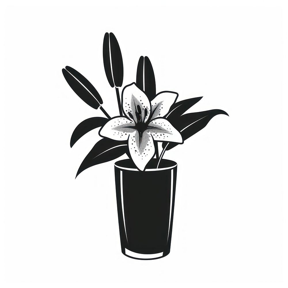 A vase with lily flower blossom plant potted plant.