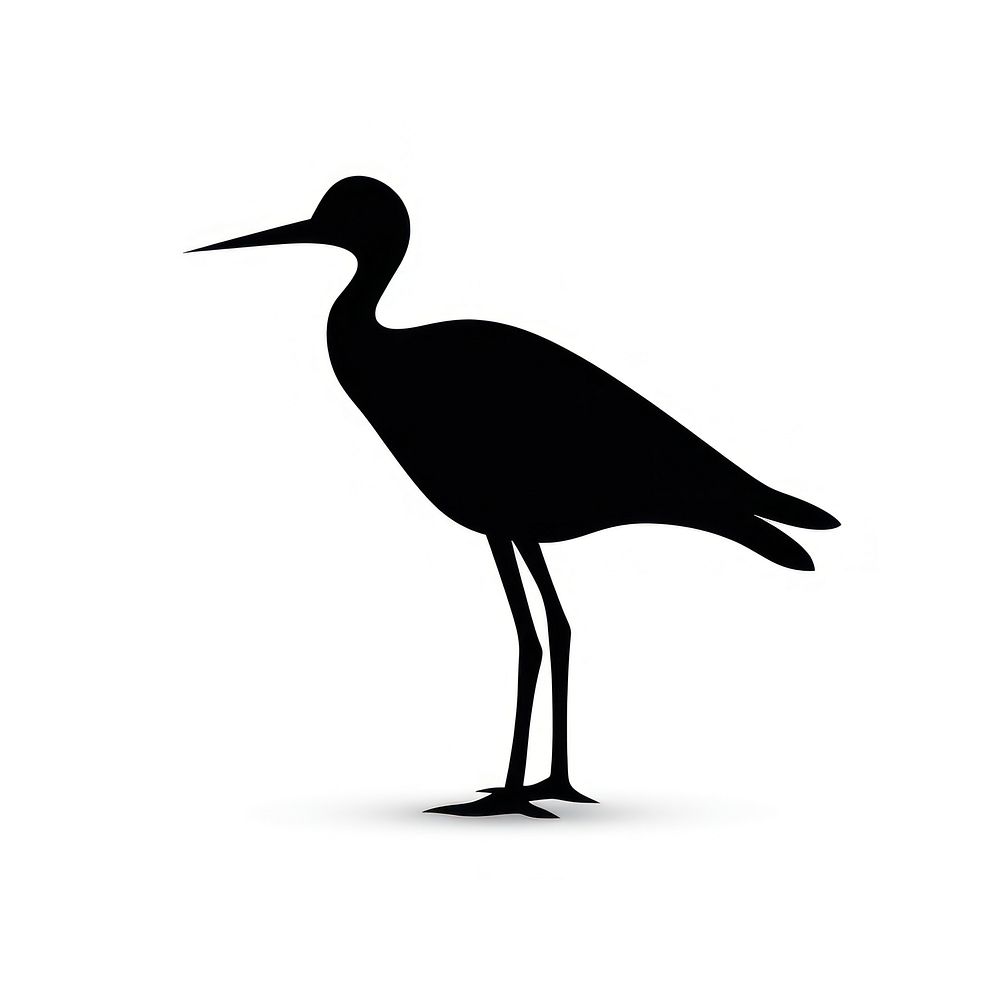A bird silhouette waterfowl animal.