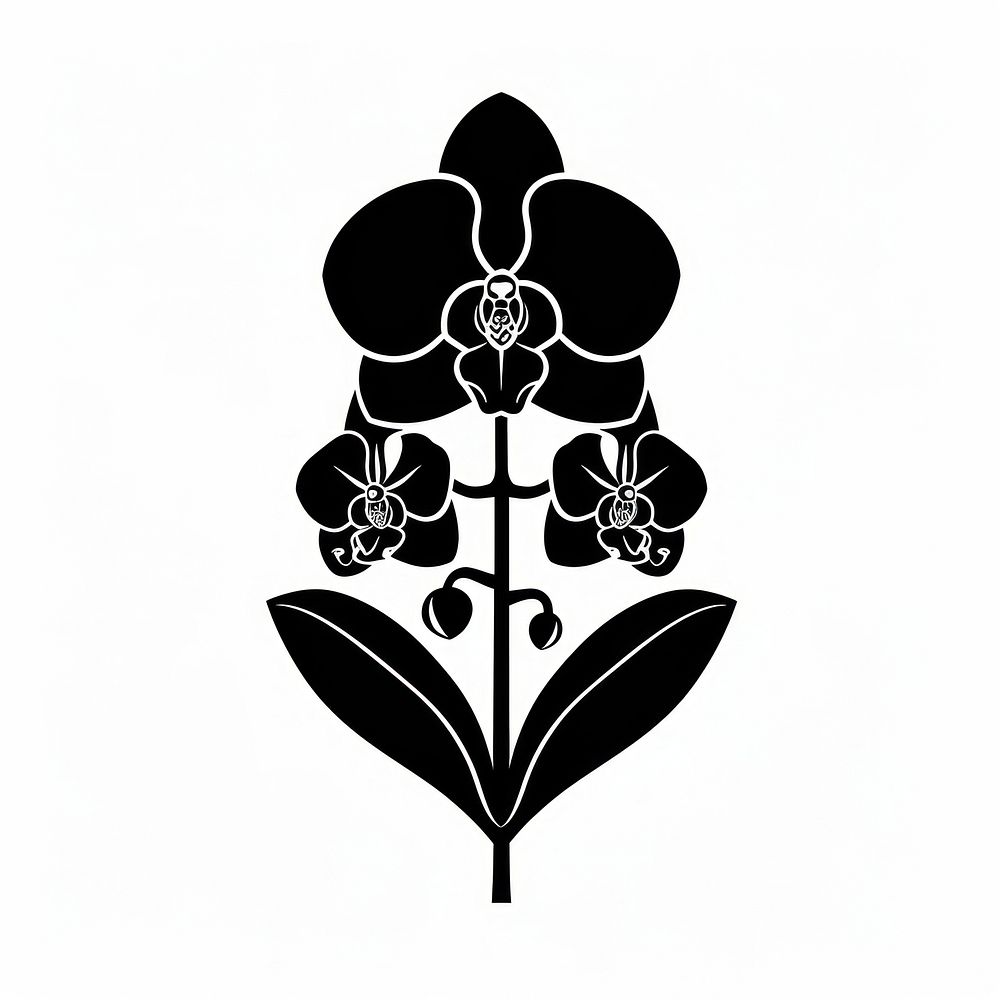 A orchid flower silhouette stencil blossom.