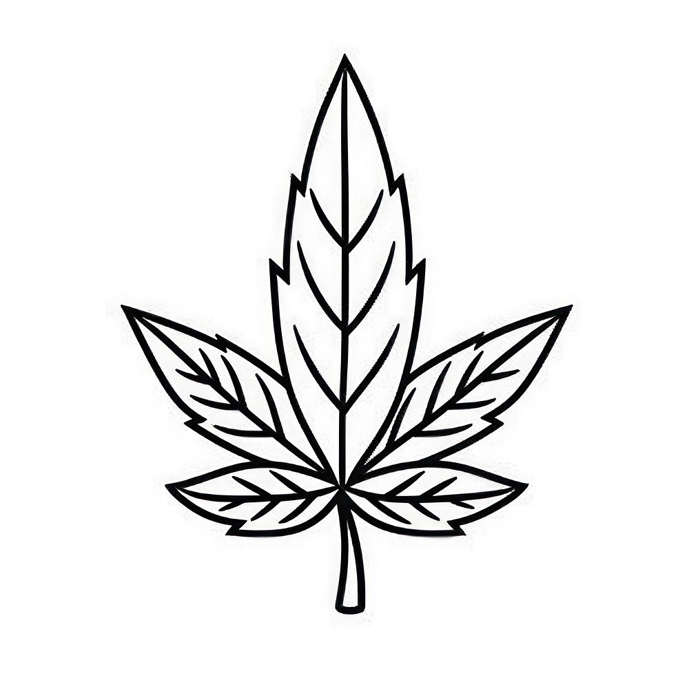 A cannabis leaf stencil animal plant.