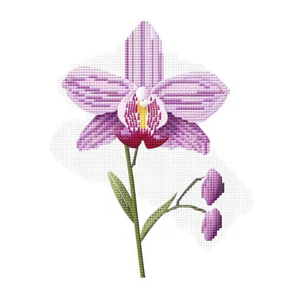 Cross stitch orchid pattern flower plant.