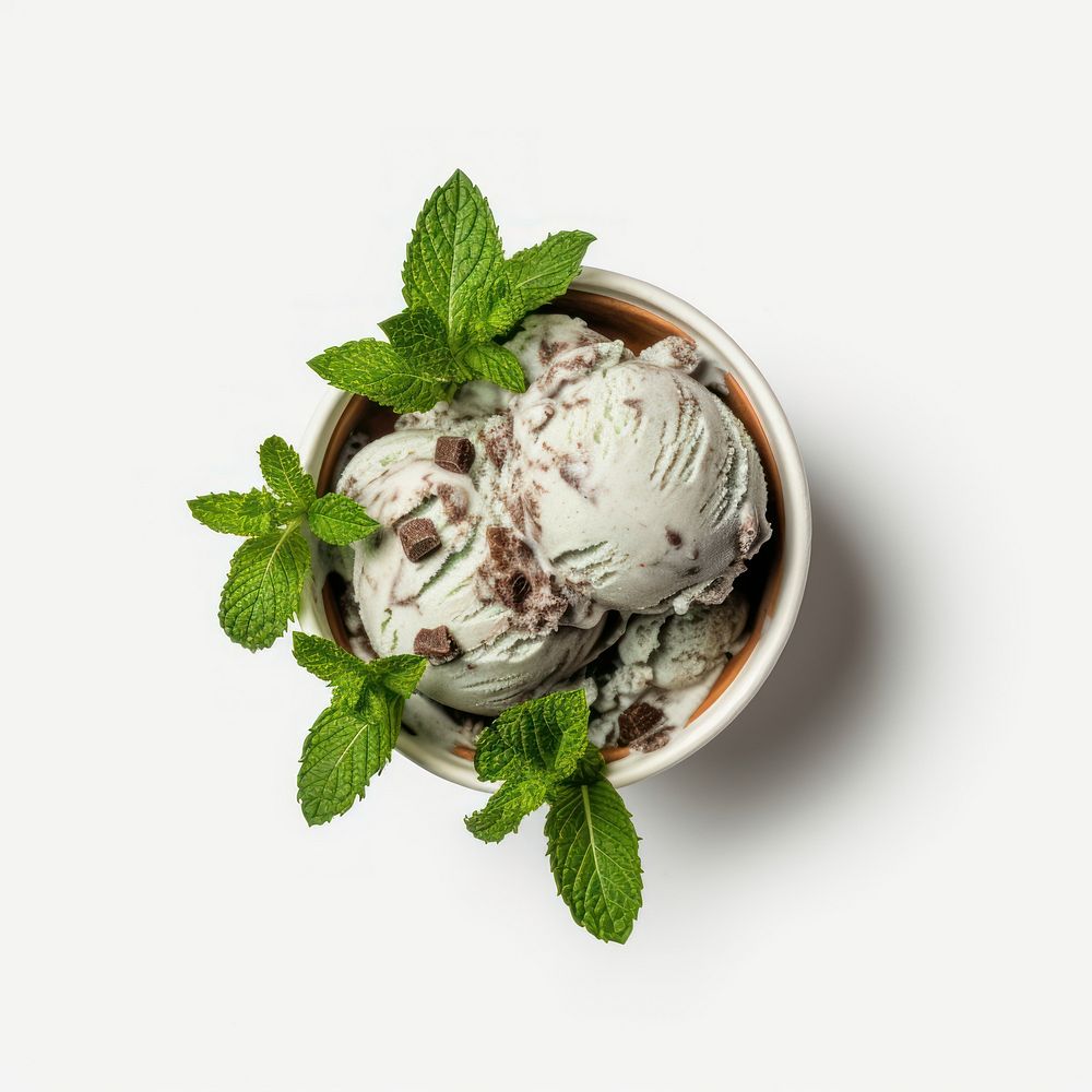 A 1 scoop chocolate mint ice cream in white paper cup plant herbs food.