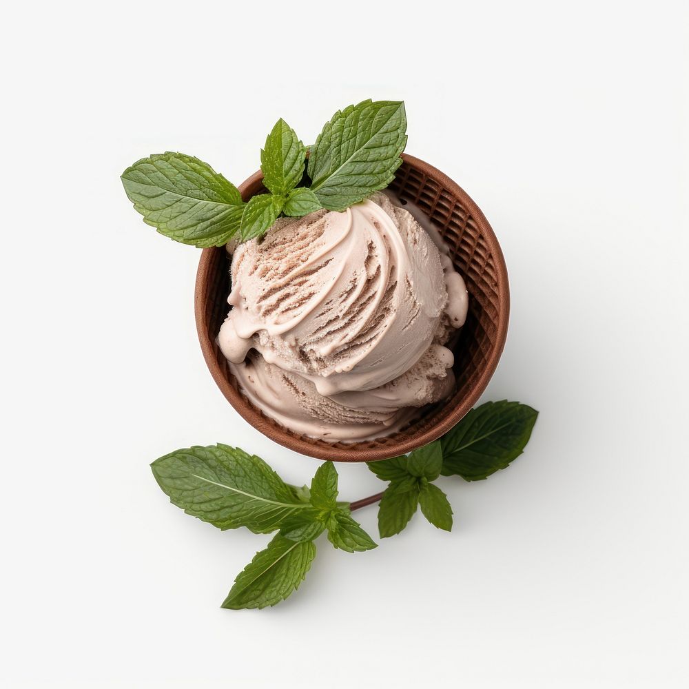 A 1 scoop chocolate mint ice cream in white paper cup dessert plant herbs.