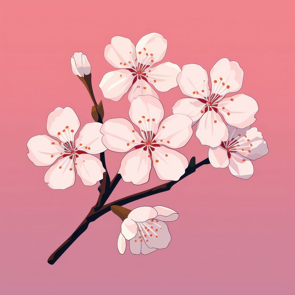 Sakura chandelier blossom flower.