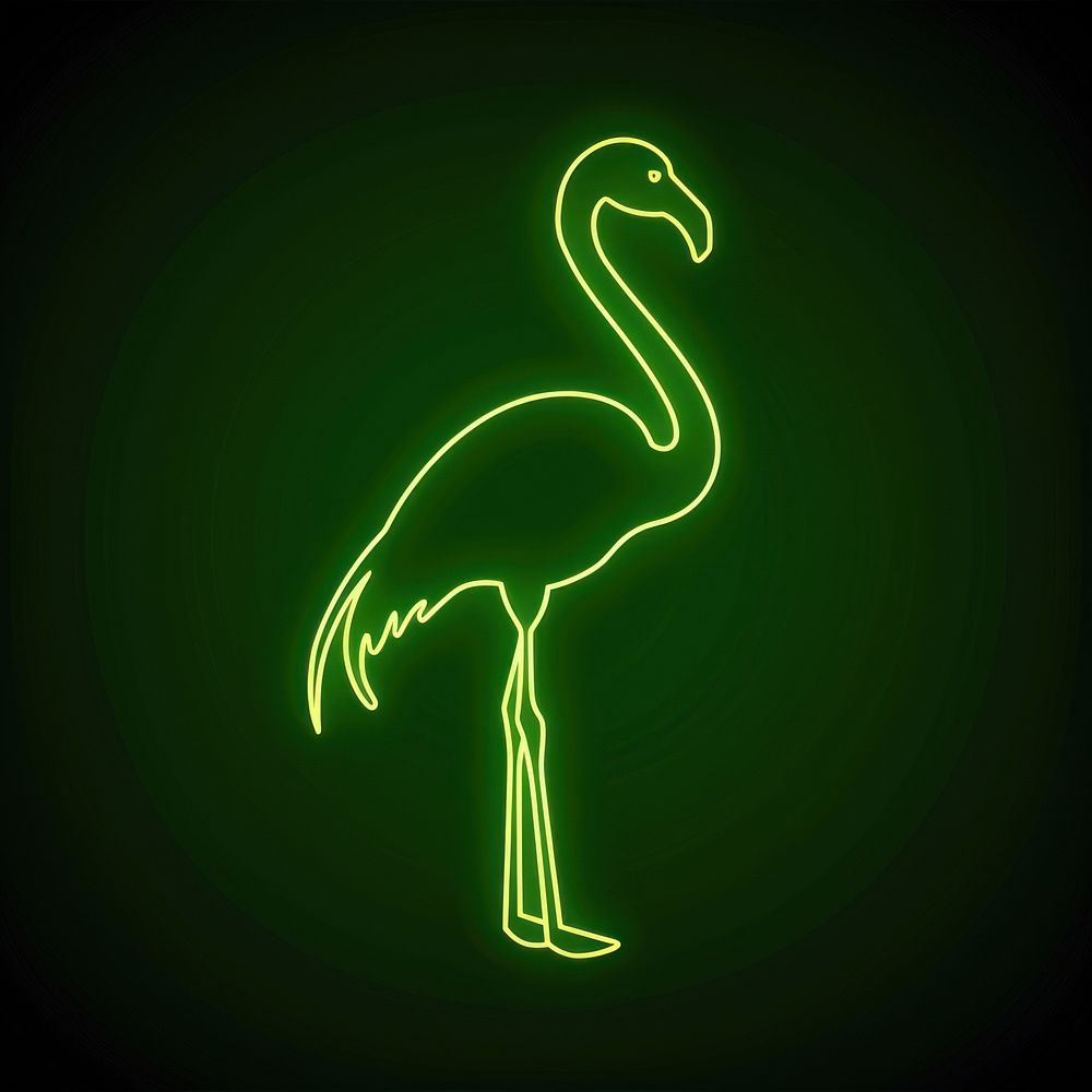Flamingo icon animal light bird.