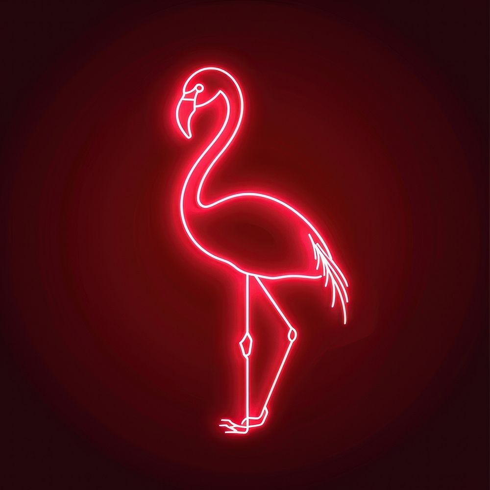 Flamingo icon pink animal light.