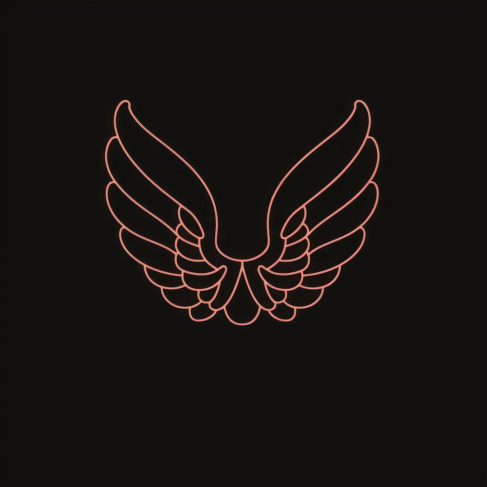 Wings icon symbol person light.