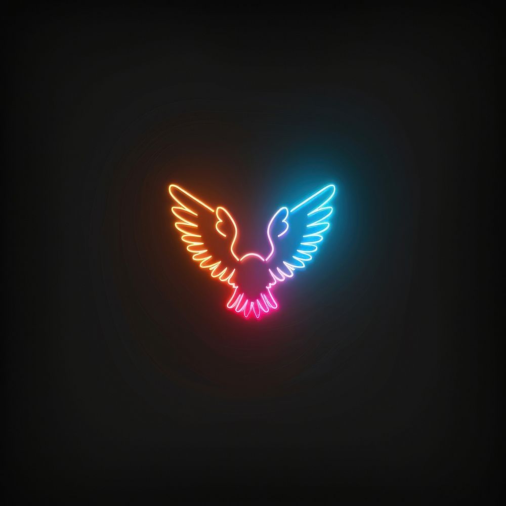 Wings icon neon astronomy outdoors.