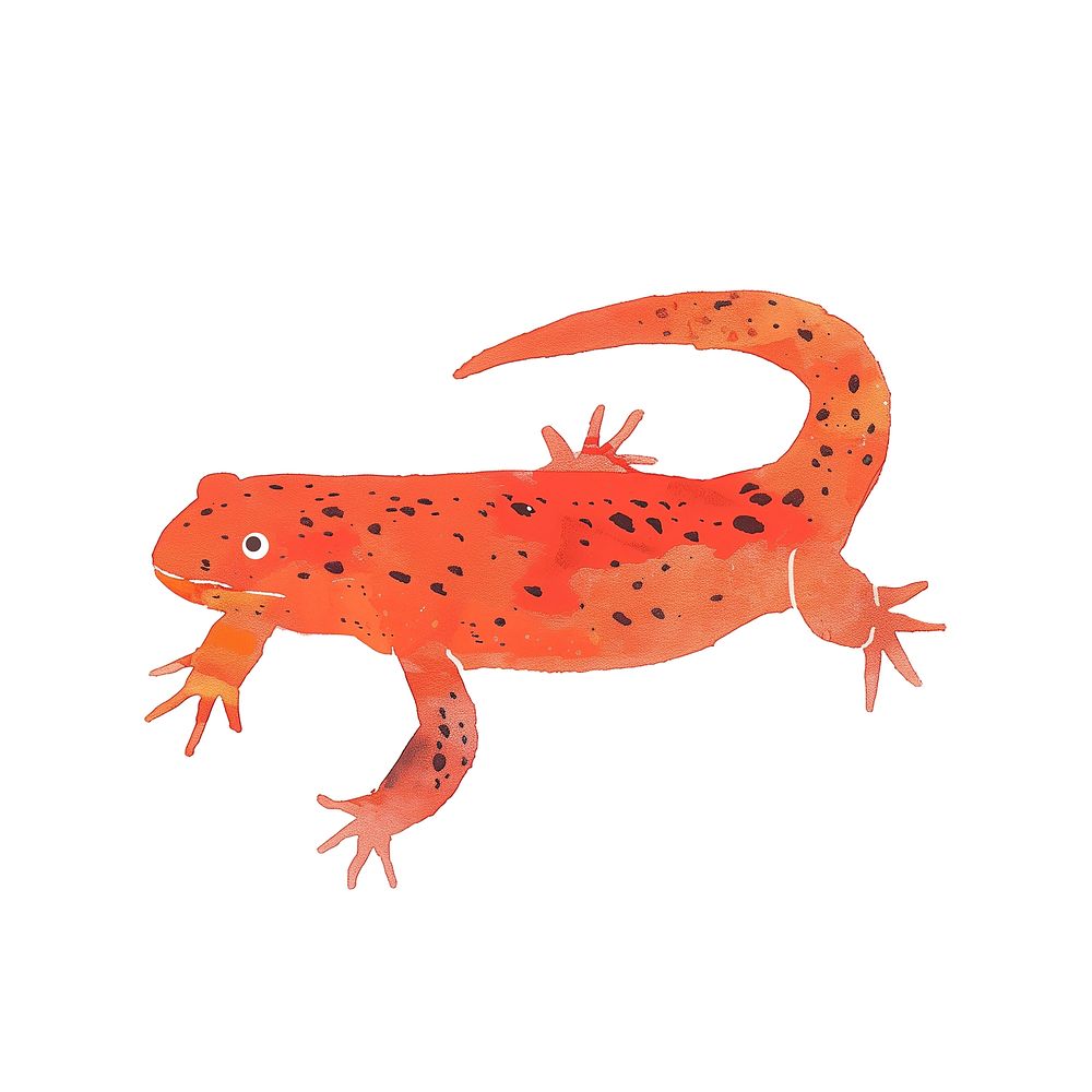 Cute newt animal illustration