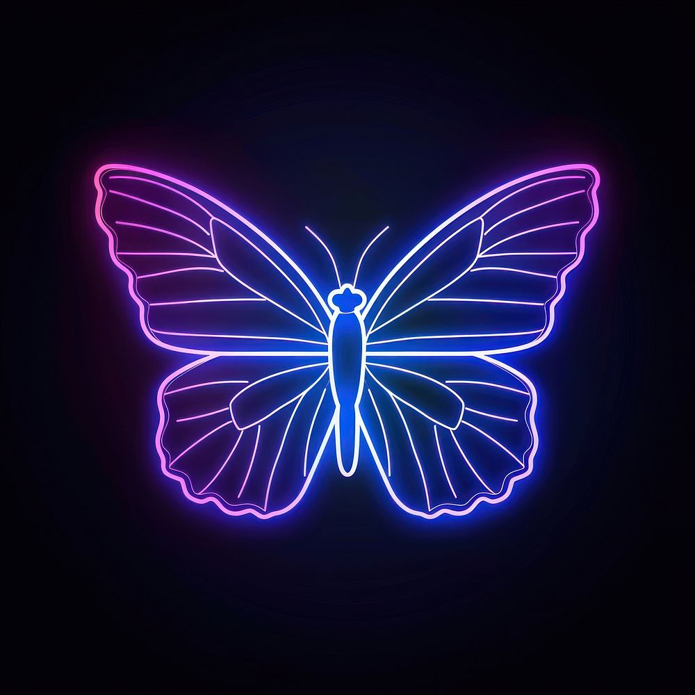 Butterfly neon nature light.