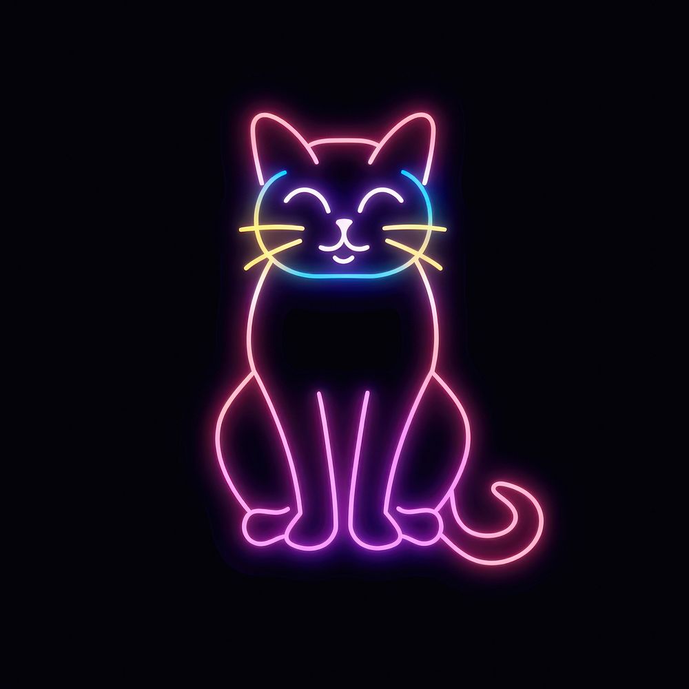 Cat neon light night.