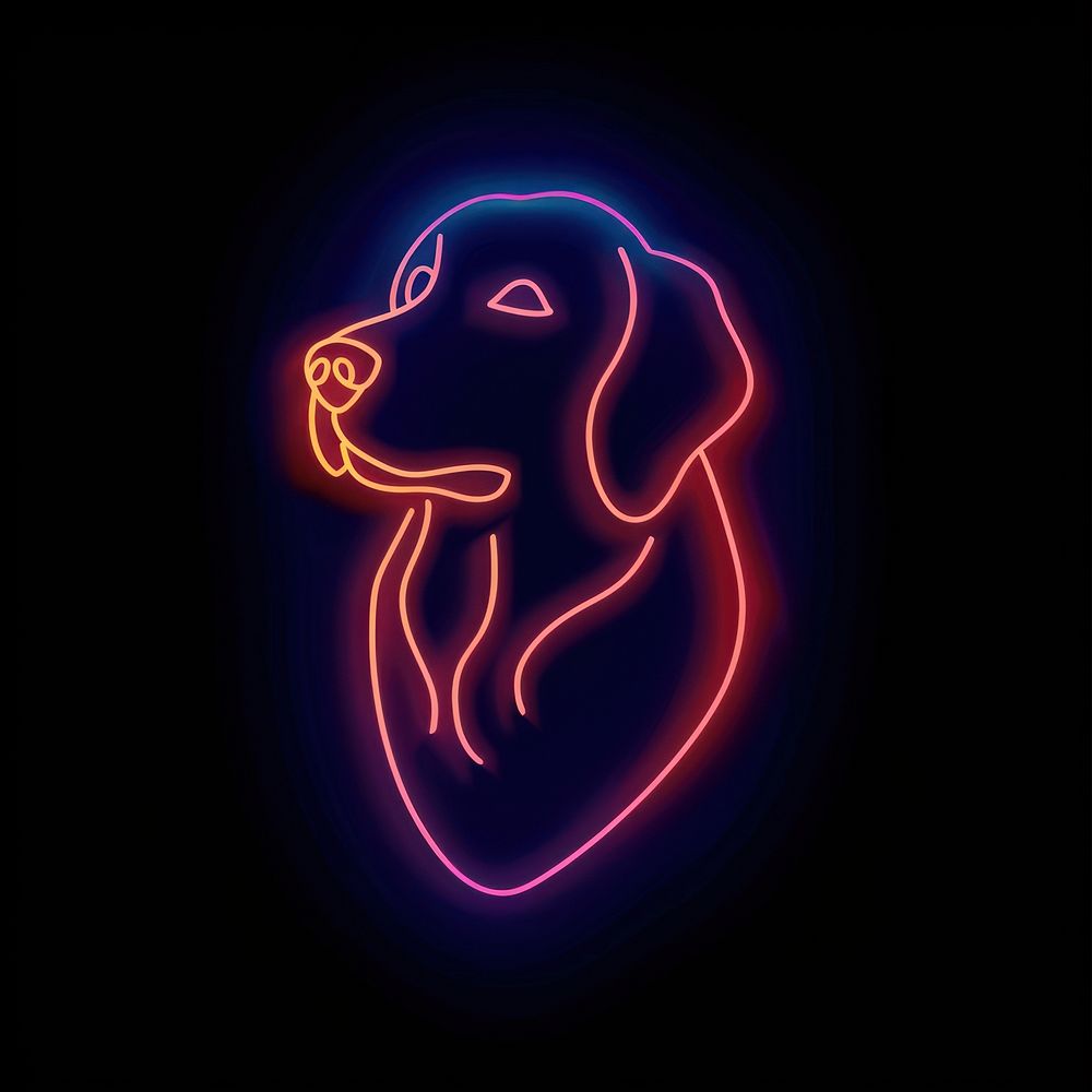 Dog neon light night.