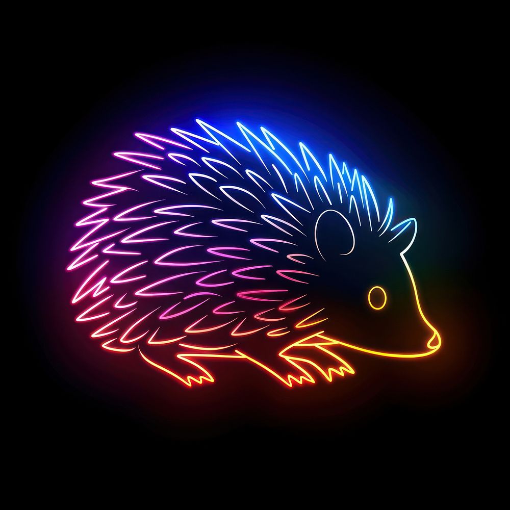 Hedgehog fireworks astronomy outdoors.