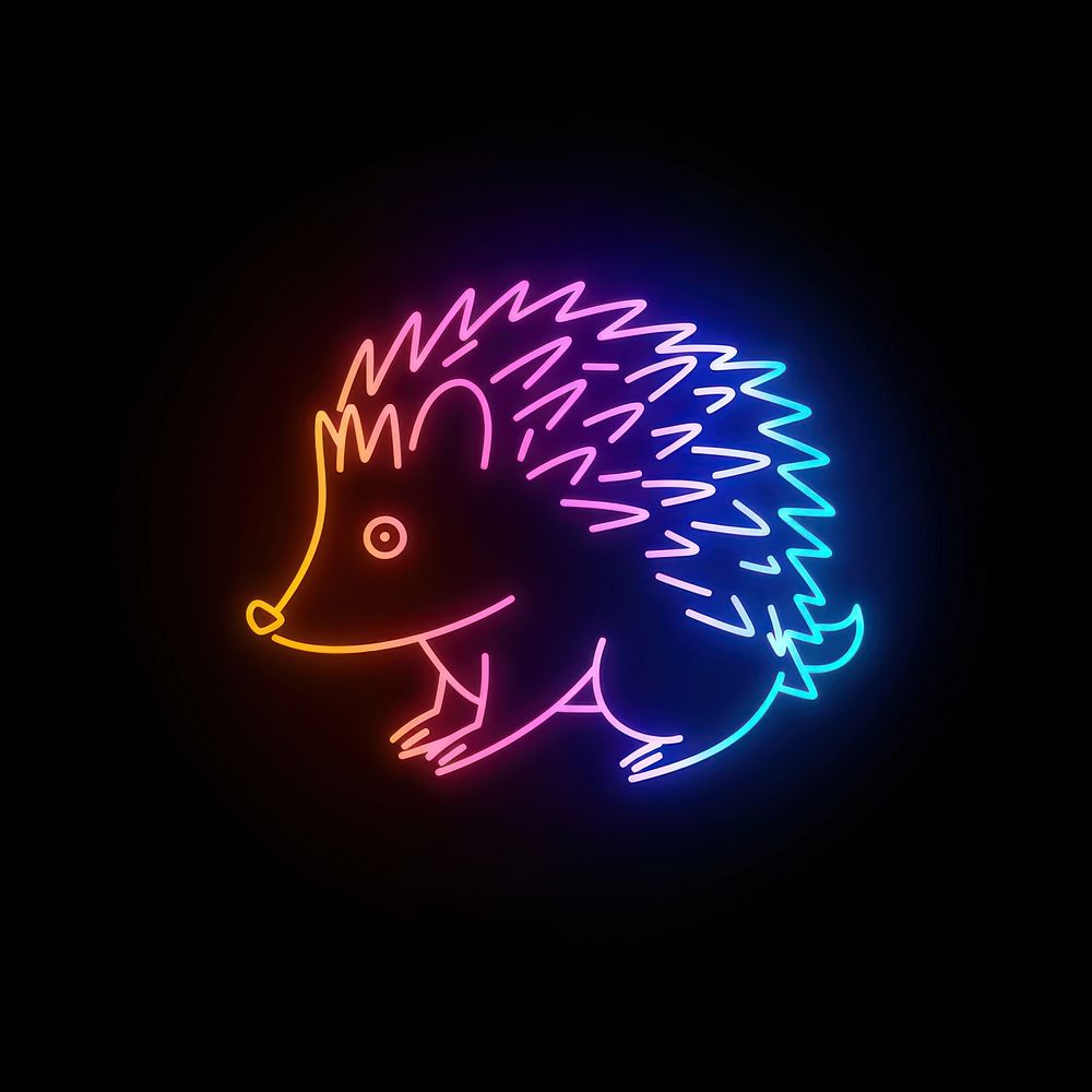 Hedgehog neon fireworks astronomy.