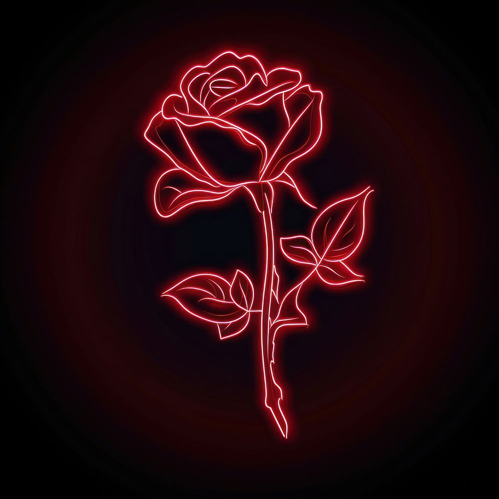 Red rose flower neon lighting.
