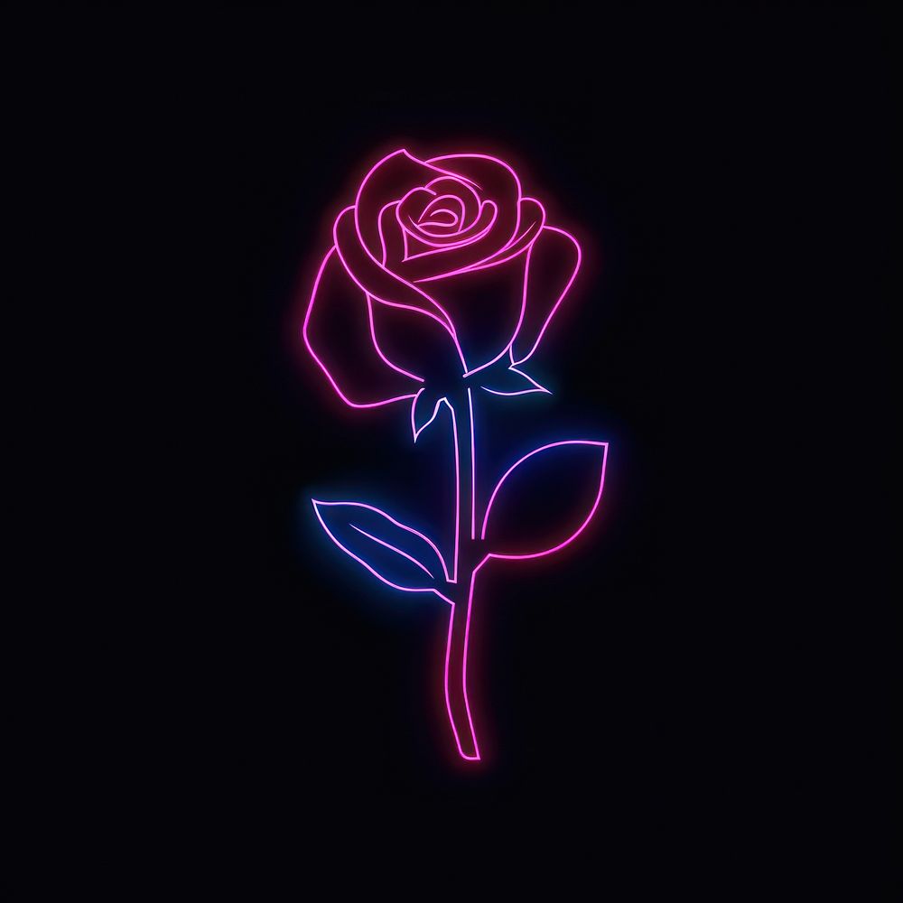 Rose neon astronomy outdoors.