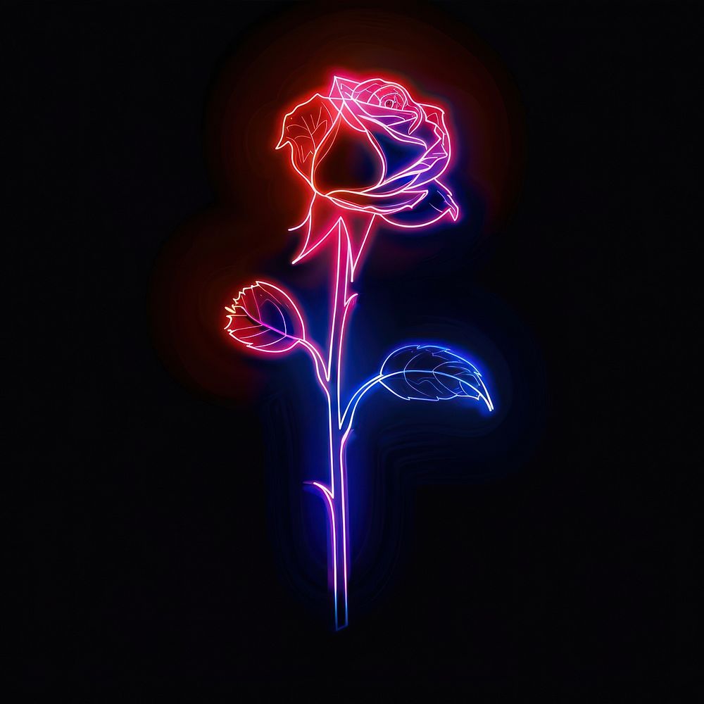 Rose without stem neon fireworks astronomy.