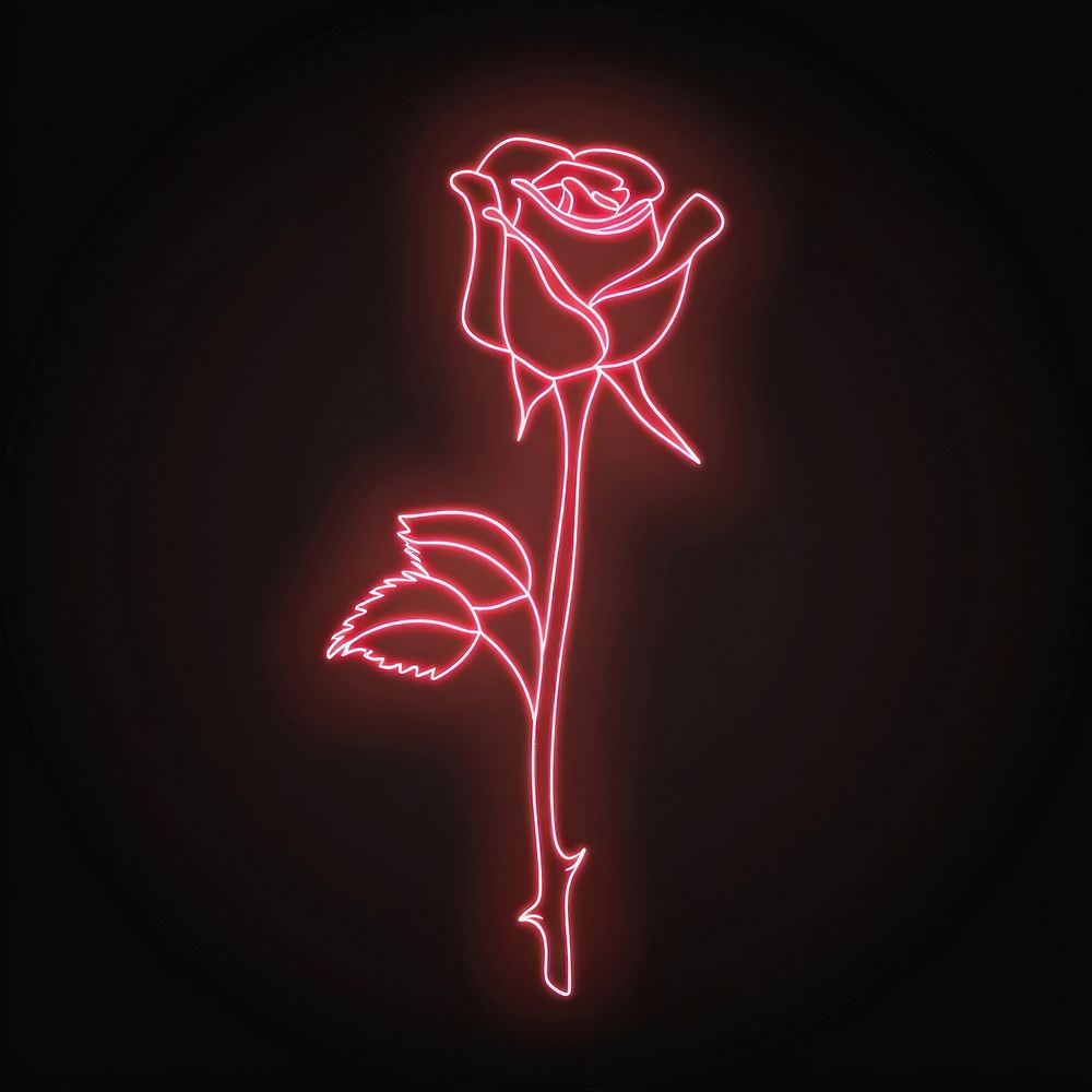 Rose without stem neon astronomy lighting.