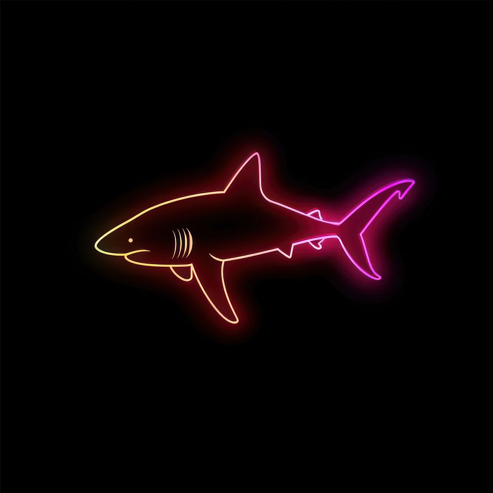 Shark neon astronomy outdoors.