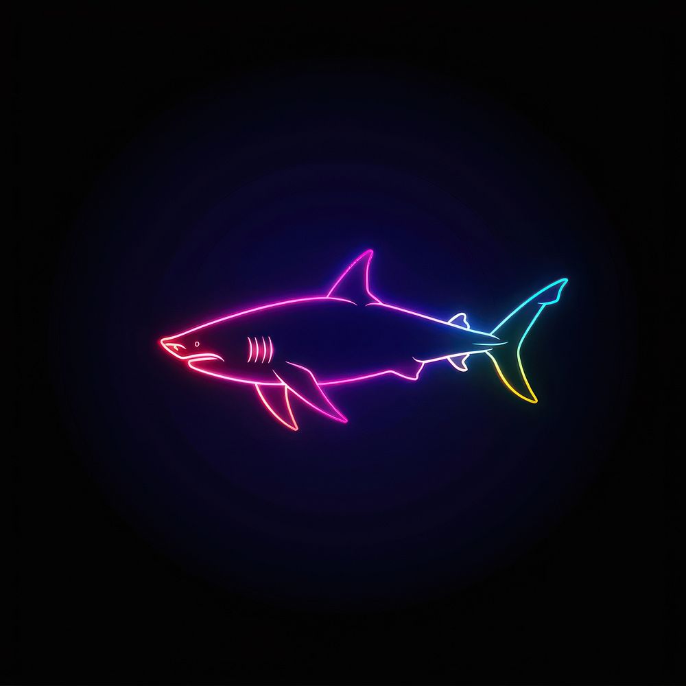 Shark neon lighting animal.