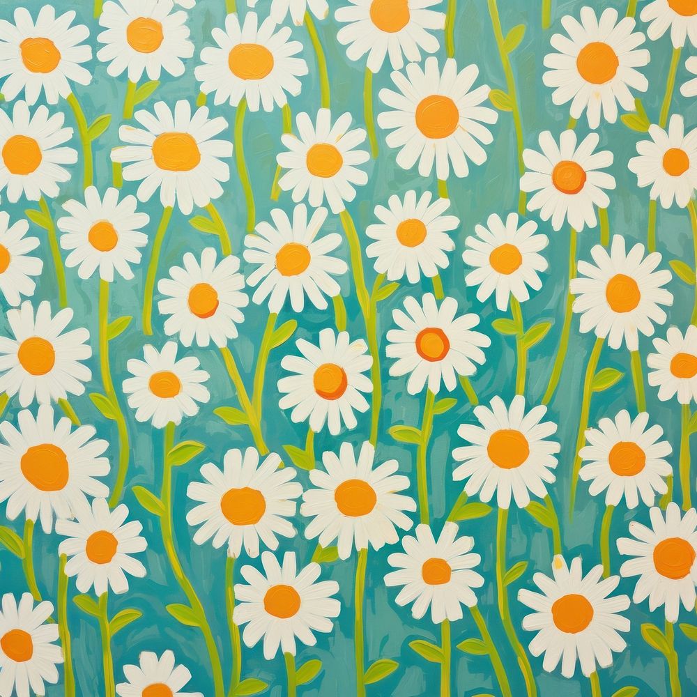 Big chamomile flowers pattern asteraceae blossom.