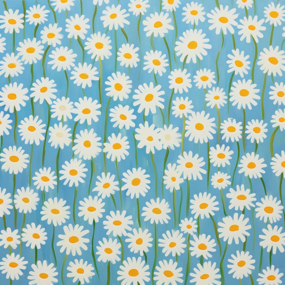 Big chamomile flowers pattern asteraceae blossom.