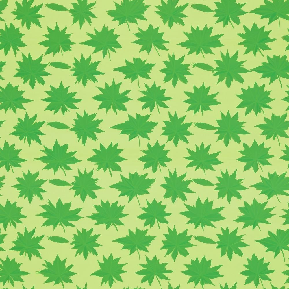 Green maple leaves pattern texture plant.