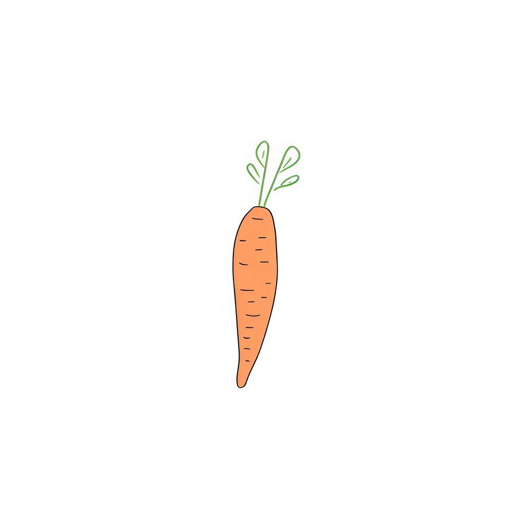 Simple carrot doodle vegetable produce plant.