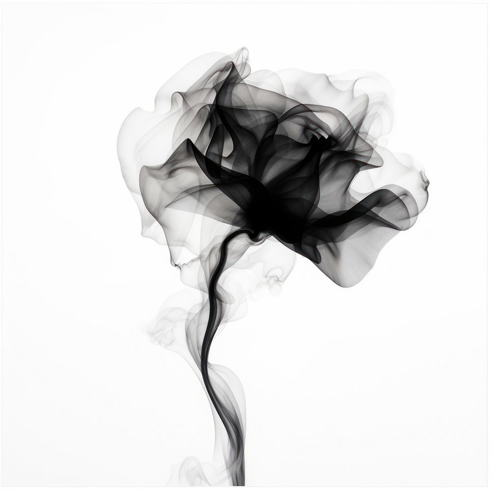 Abstract smoke of floating rose clothing apparel fashion.