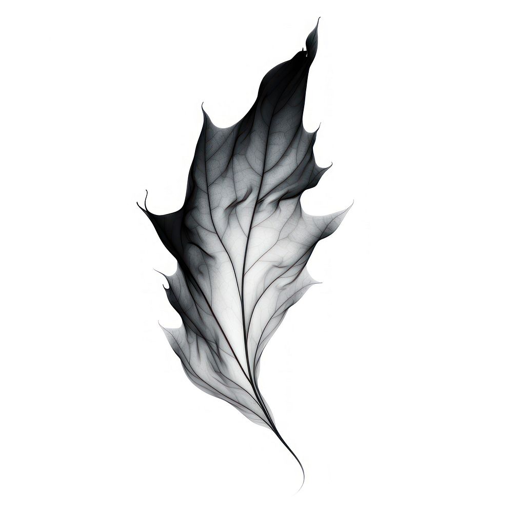 Abstract smoke of maple leaf art person.