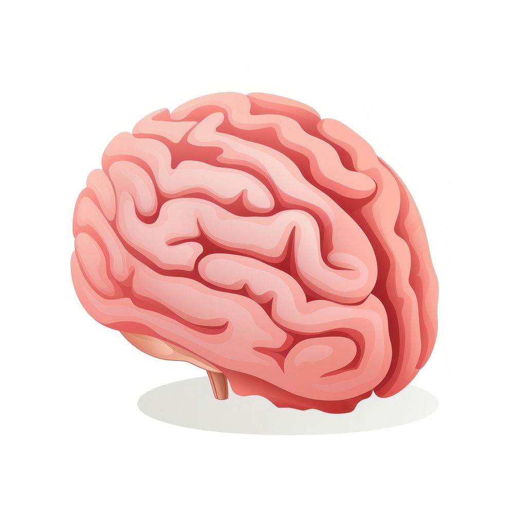 Medical brain white background outdoors.