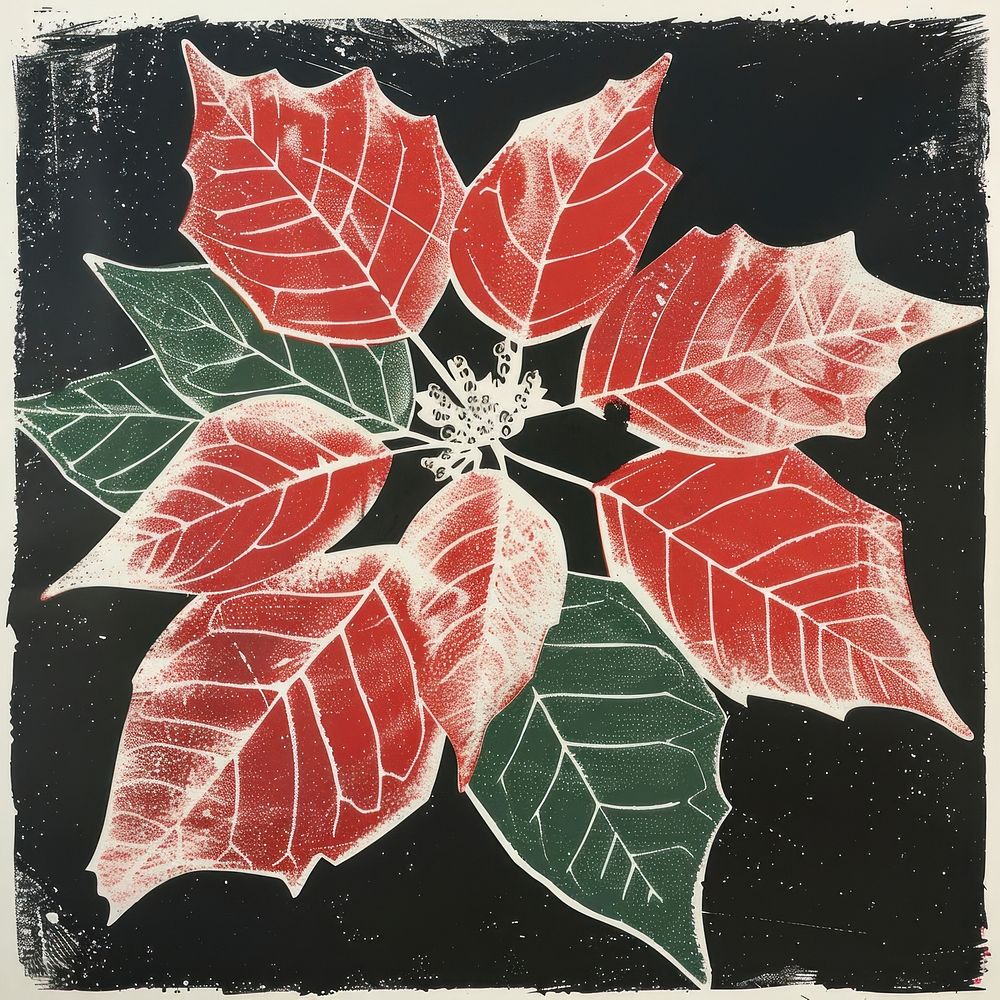 Silkscreen of a Poinsettia plant leaf art.