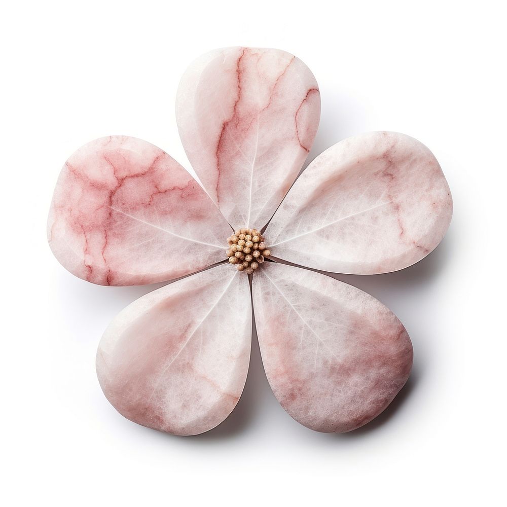 Flower shape shape marble jewelry white background accessories.