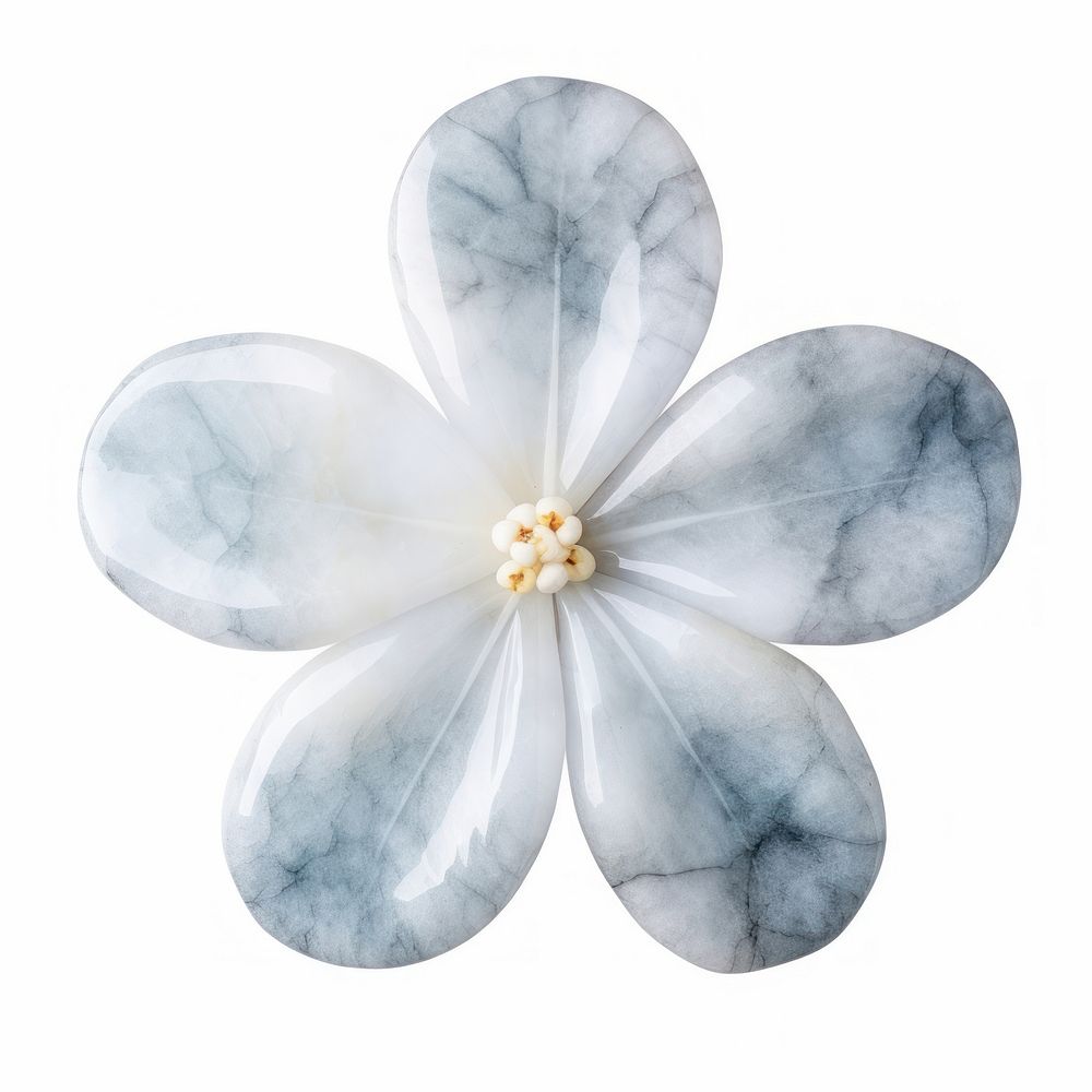 Flower shape shape marble jewelry plant white.