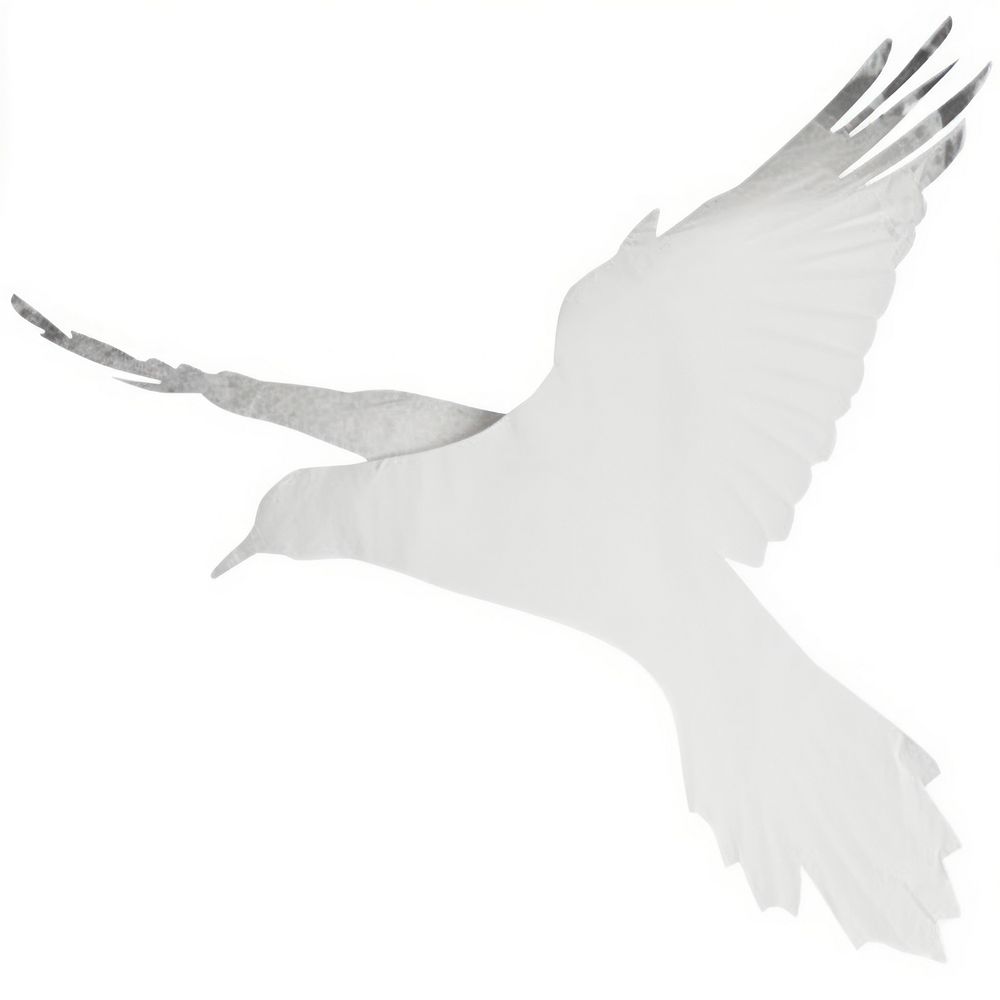 Bird shape ripped paper animal flying white.