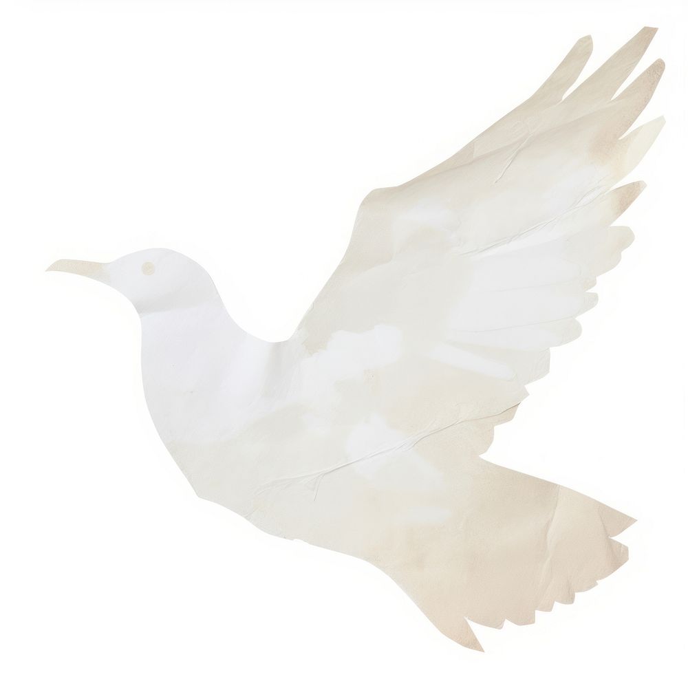 Dove shape ripped paper animal white bird.