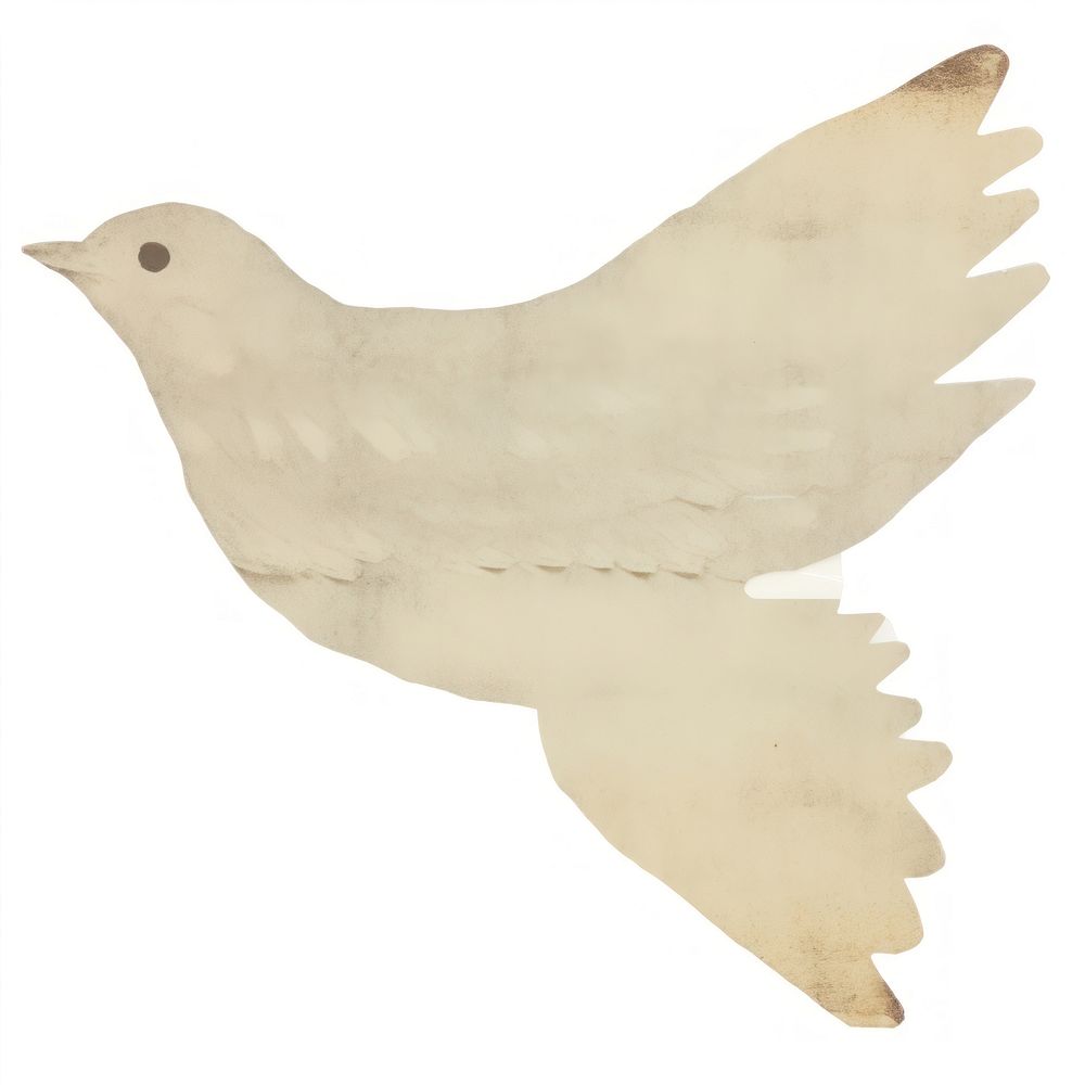 Bird shape ripped paper animal white white background.