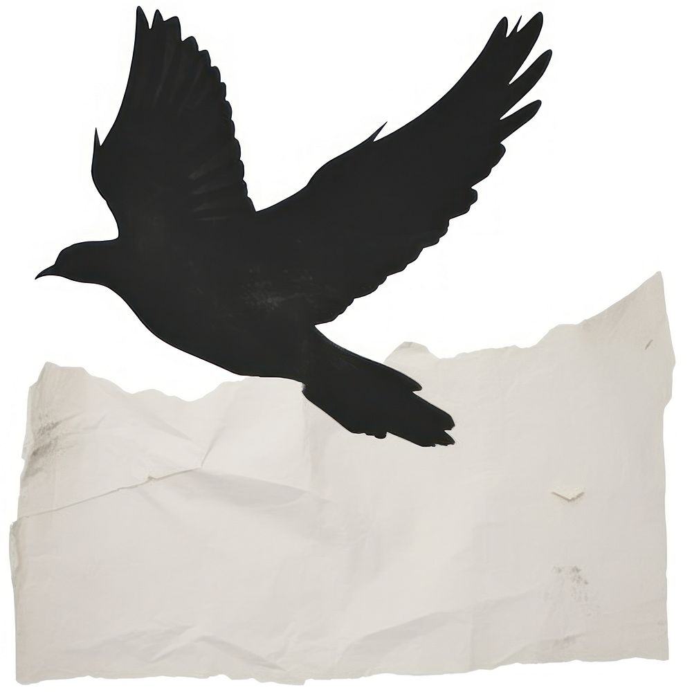 Black dove ripped paper animal white bird.