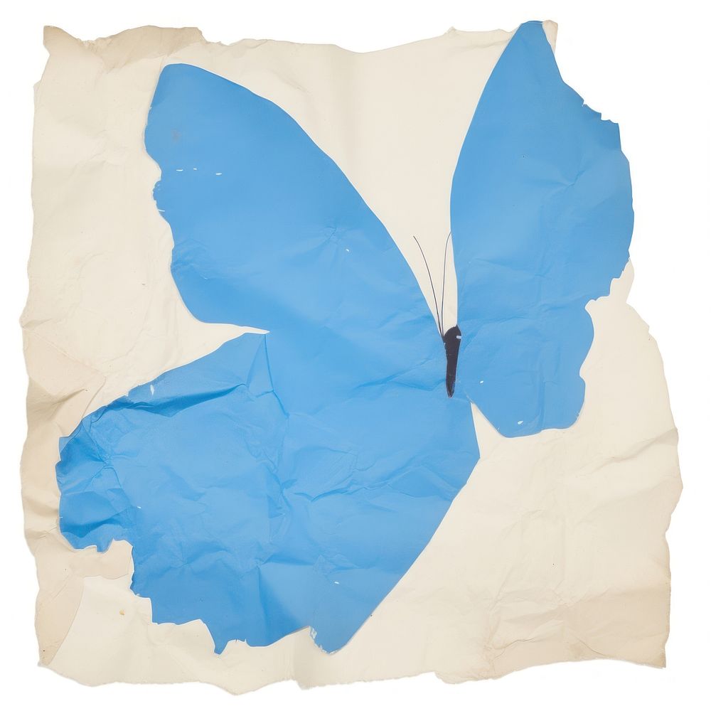 Blue butterfly ripped paper white white background pattern.