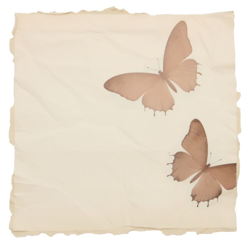 Butterfly ripped paper white background calligraphy crumpled.