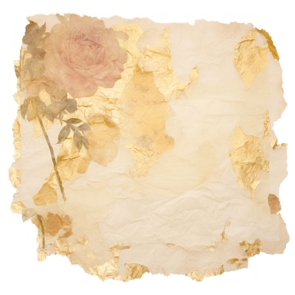 Gold floral ripped paper backgrounds white background fragility.