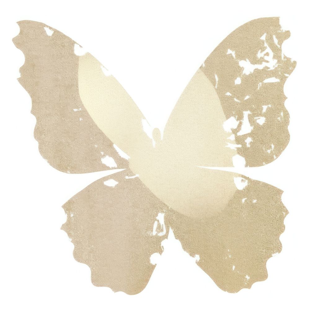 Glitter butterfly ripped paper white background creativity painting.