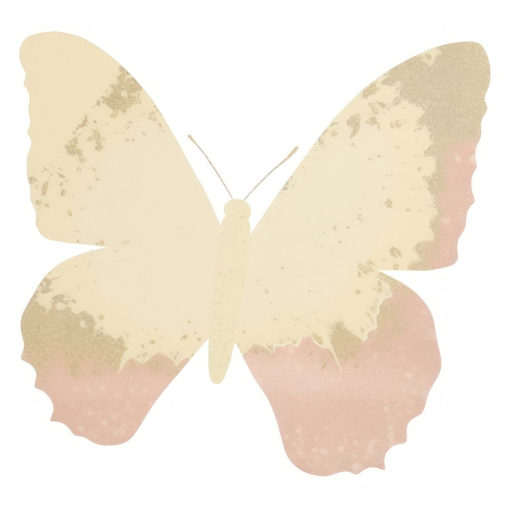 Glitter butterfly ripped paper insect moth white background.